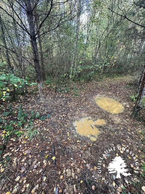 Terrain - 15 870 m²