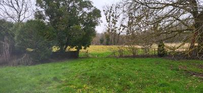 Ferme - 60 m² - 4 pièces