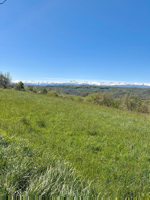Terrain - 5 085 m²