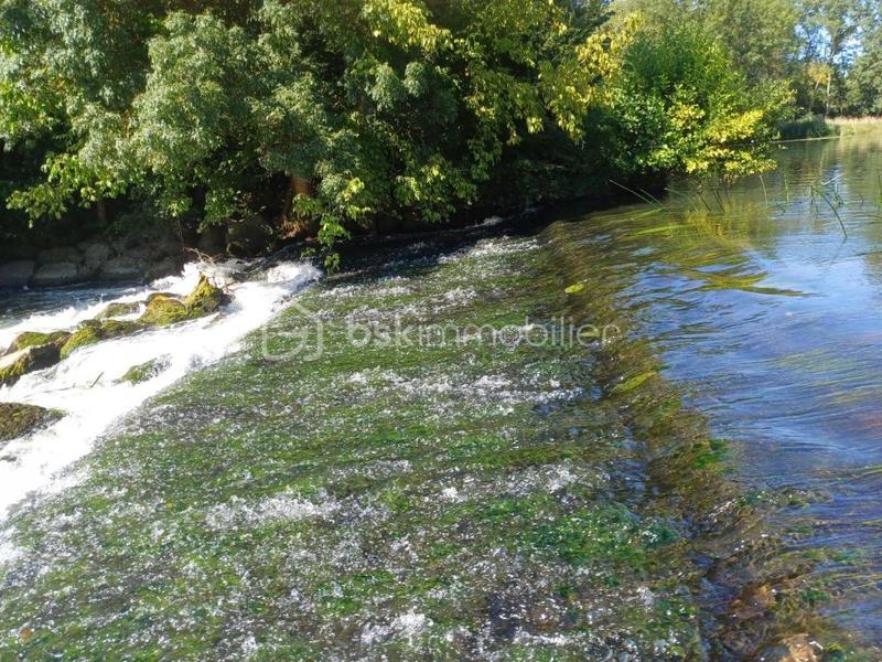 Terrain de loisirs - 8 163 m²