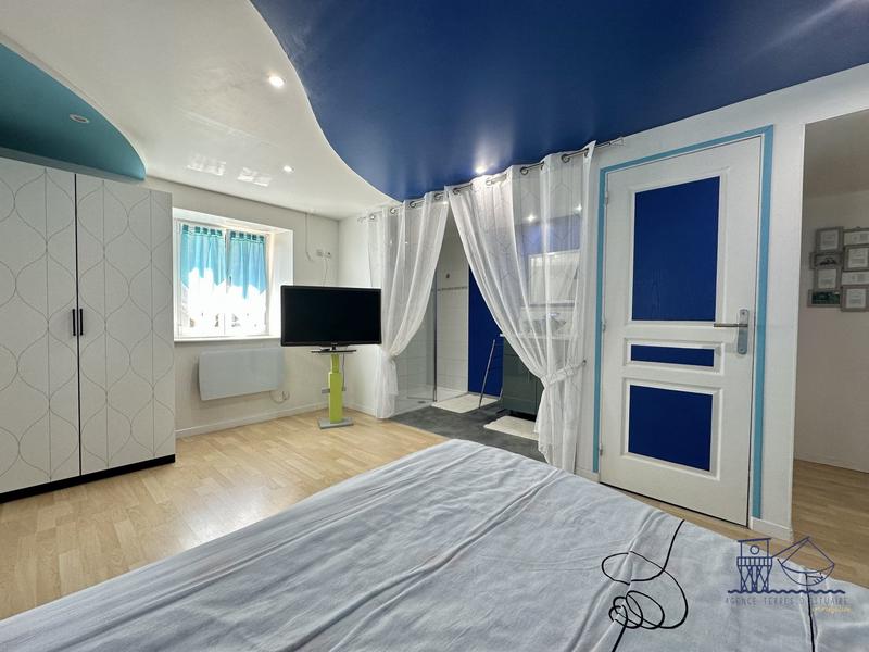 Maison ancienne - 272 m² - 9 pièces