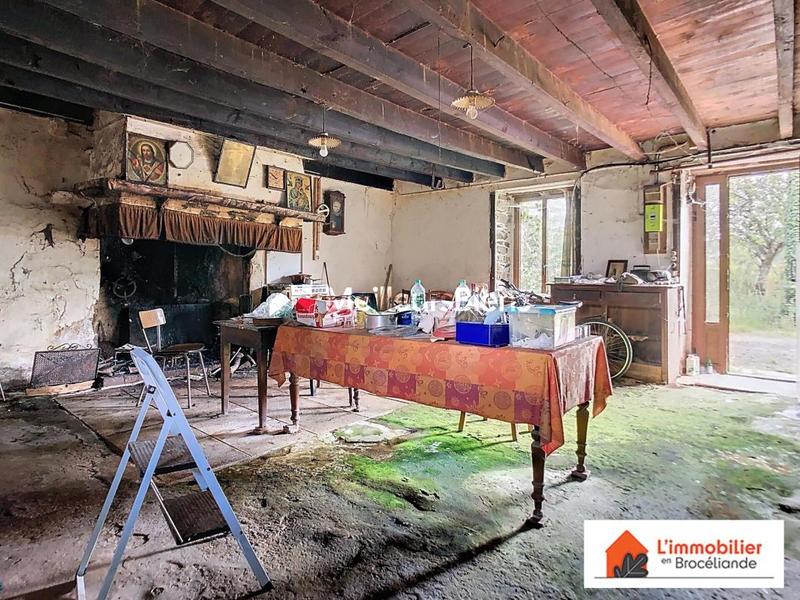 Longère - 250 m² - 5 pièces