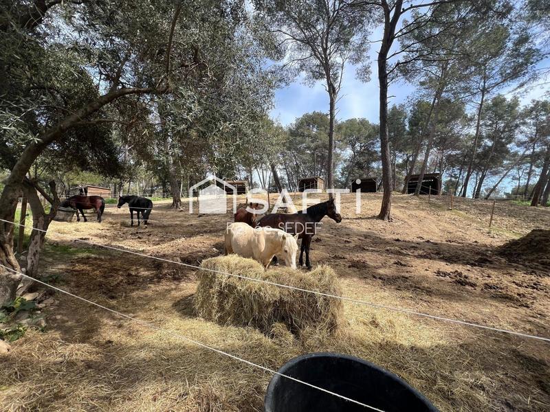 Local commercial - 120 000 m²