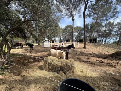 Local commercial - 120 000 m²