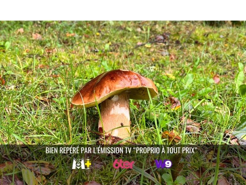 Maison - 280 m² - 7 pièces