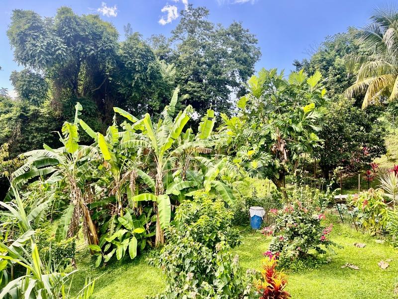 Maison - 239 m² - 9 pièces