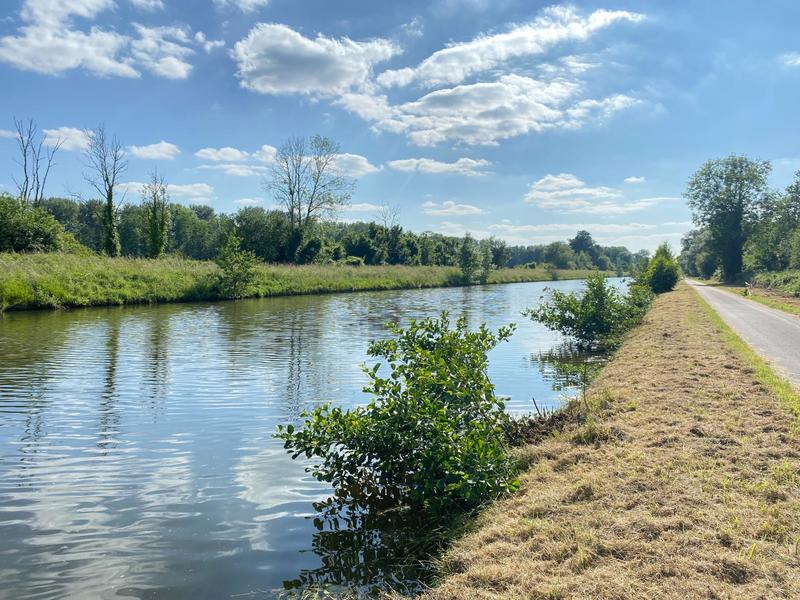 Appartement - 54 m² - 3 pièces