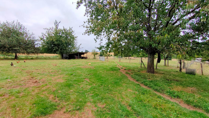 Maison - 165 m² - 6 pièces