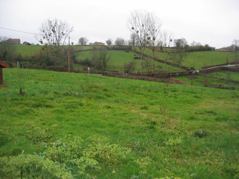 Maison de campagne - 130 m² - 6 pièces