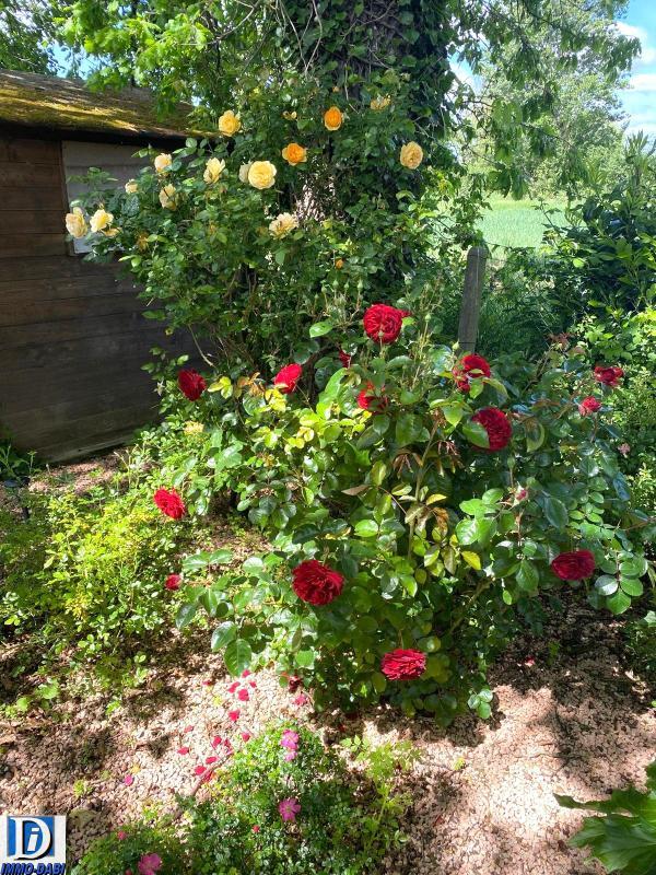 Villa - 164 m² - 6 pièces