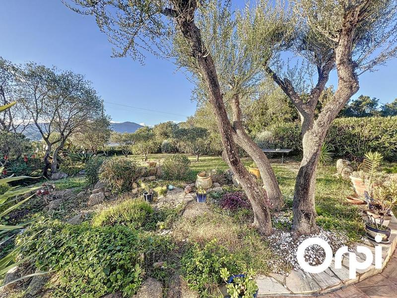 Maison - 270 m² - 3 pièces