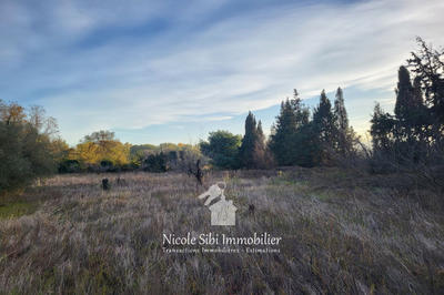 Terrain agricole - 3 300 m²