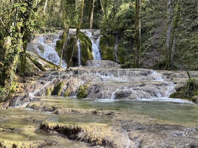 Propriété - 278 m² - 7 pièces