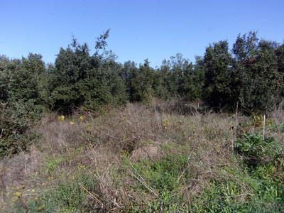 Terrain de loisirs - 2 300 m²