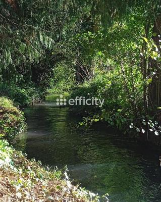 Maison bourgeoise - 156 m² - 5 pièces