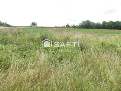 Terrain - 9 203 m²