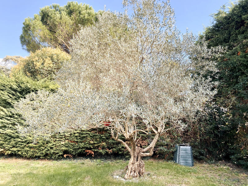 Maison - 182 m² - 6 pièces