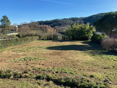 Terrain - 1 555 m²