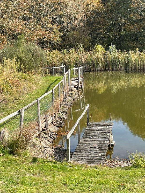 Maison - 175 m² - 7 pièces