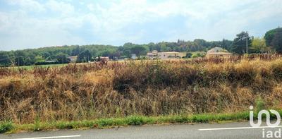 Terrain - 11 884 m²