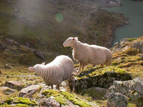 Gîte d'Etape et de Séjour l'Escapade