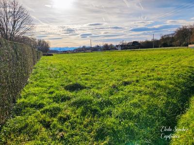 Terrain constructible - 7 732 m²