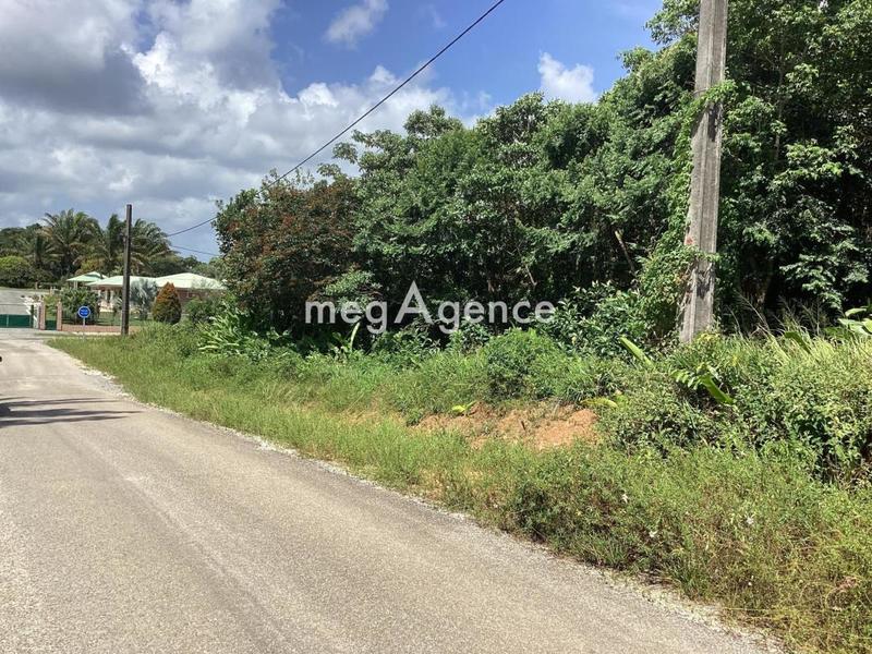 Terrain constructible - 10 000 m²