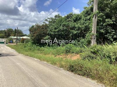 Terrain constructible - 10 000 m²