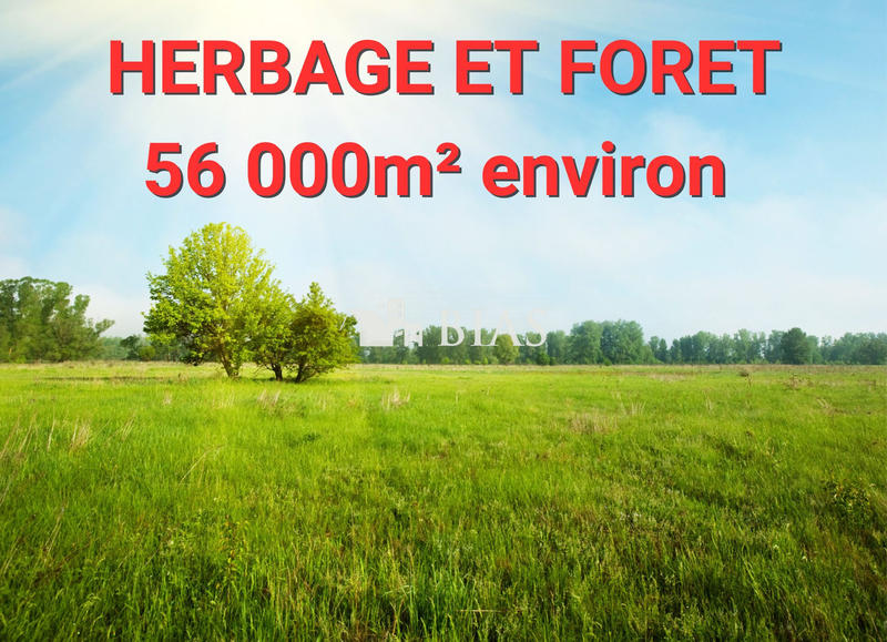 Terrain de loisirs - 56 460 m²