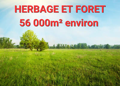 Terrain de loisirs - 56 460 m²