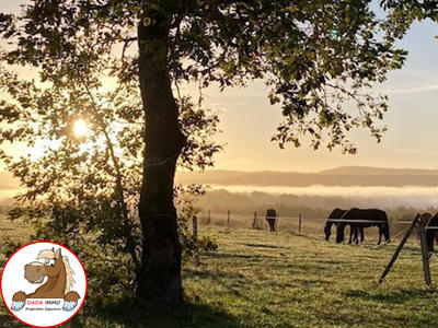 Maison - 128 m² - 4 pièces