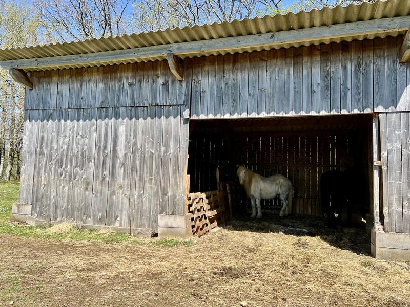 Appartement - 163 m² - 5 pièces