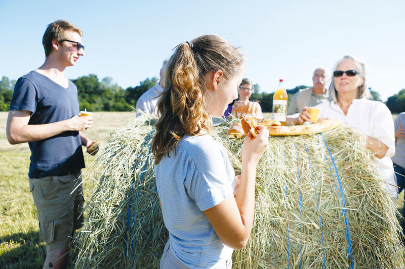 Le réveil des chevreuils