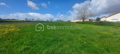 Terrain constructible - 4 000 m²