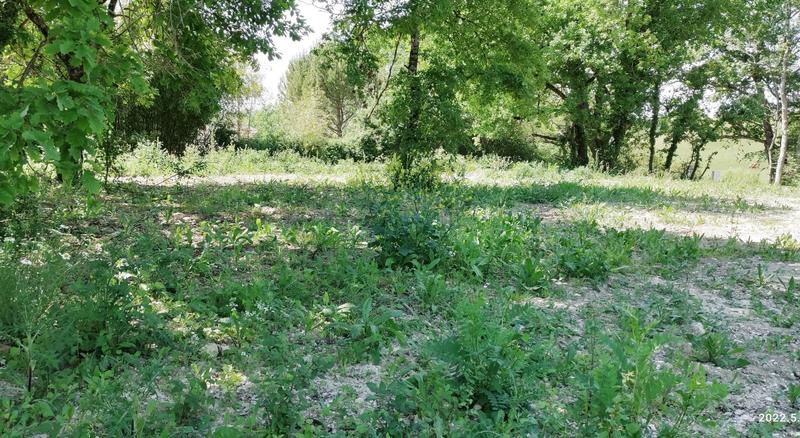 Terrain - 800 m²