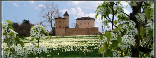 Château de Saint Bernard et ses jardins