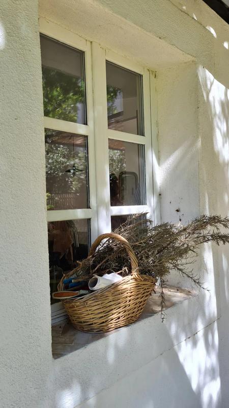 Maison traditionnelle - 260 m² - 10 pièces