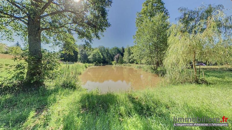 Maison - 230 m² - 11 pièces