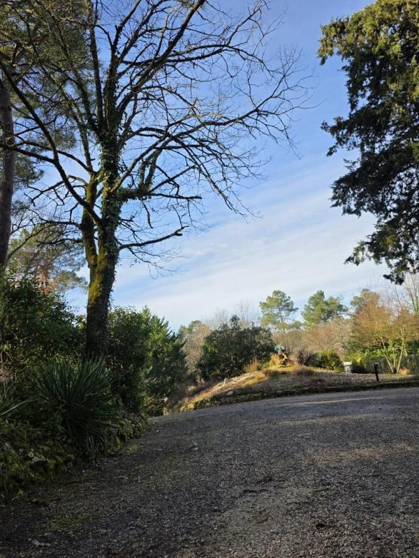 Fonds de commerce - 93 736 m²