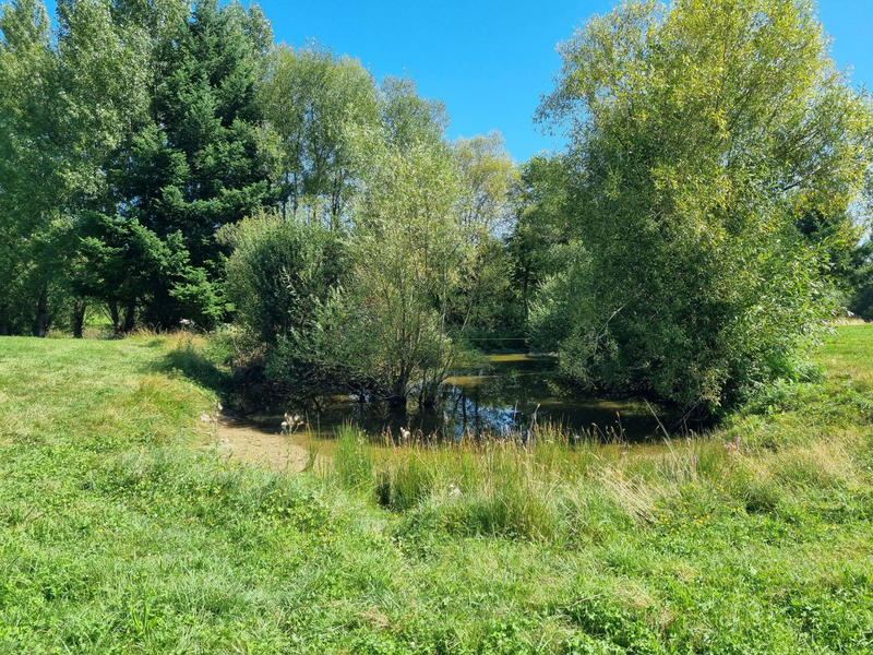 Terrain - 14 264 m²