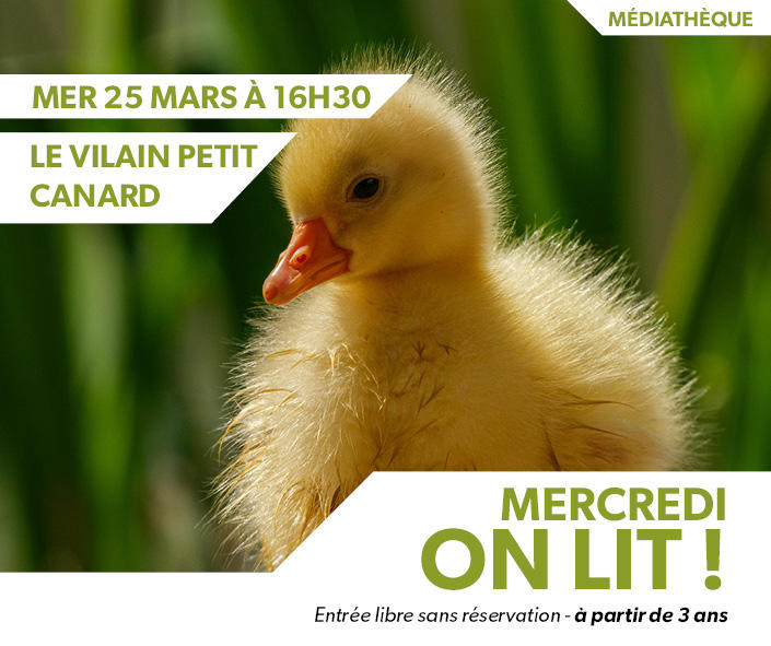 Mercredi, on lit ! | le vilain petit canard
