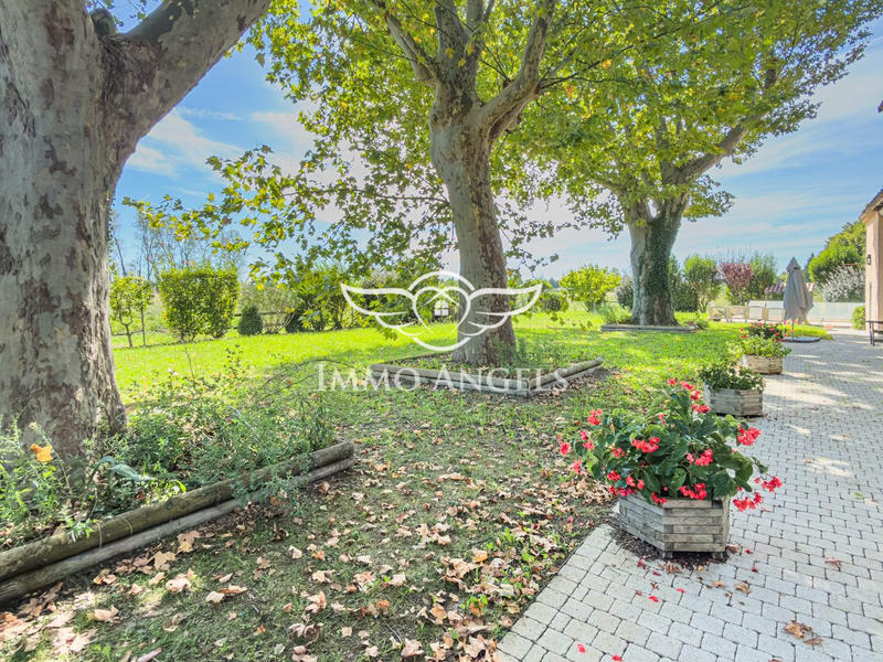 Mas - 268 m² - 9 pièces