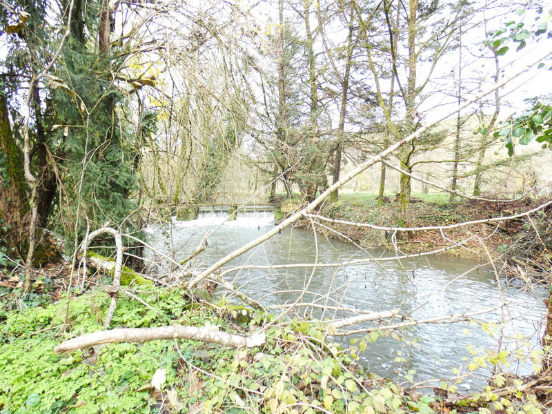 Maison - 118 m² - 5 pièces