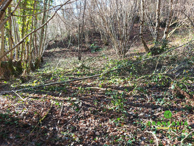 Maison traditionnelle - 306 m² - 16 pièces