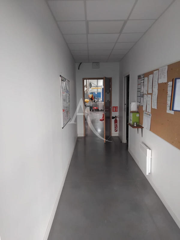 Local d'activité / Entrepôt - 800 m²