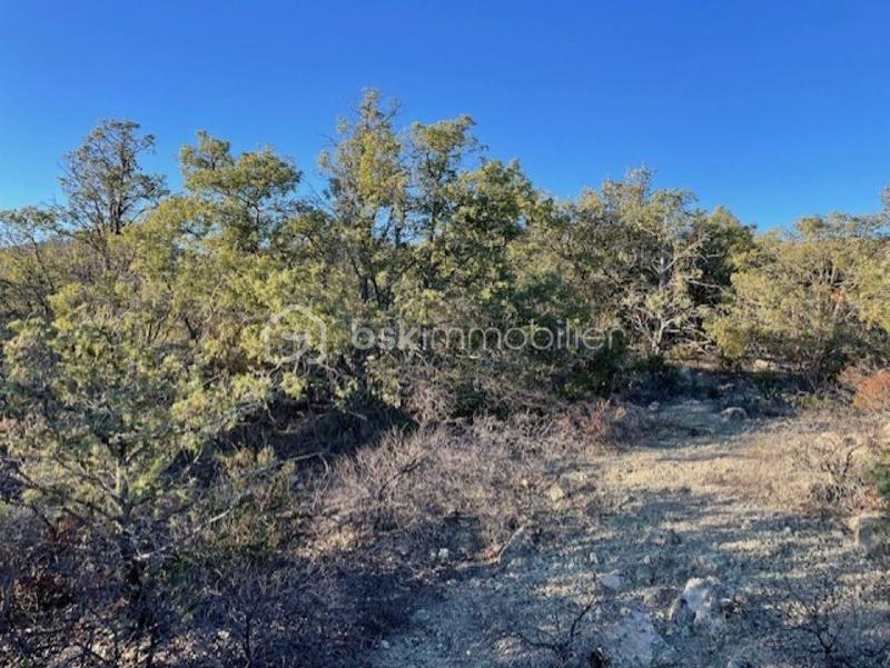 Terrain agricole - 5 667 m²