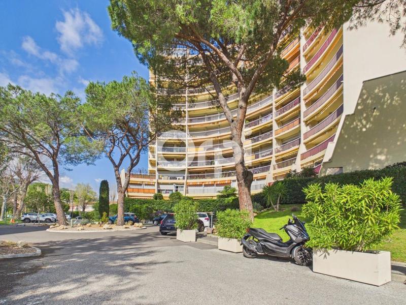 Studio - 31 m² - 1 pièce