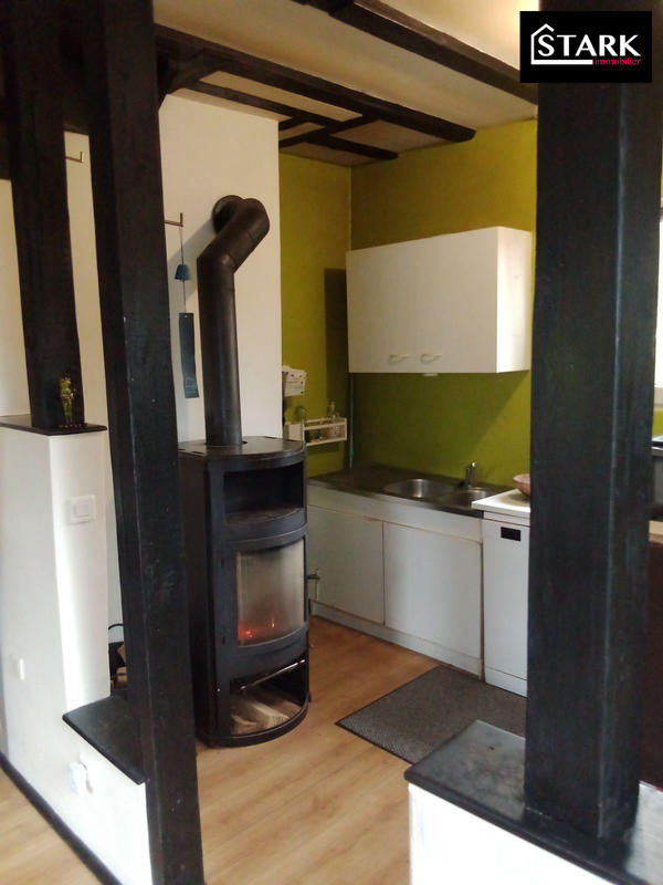 Viager - Maison ancienne - 96 m² - 4 pièces