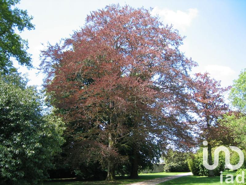 Château - 550 m² - 12 pièces