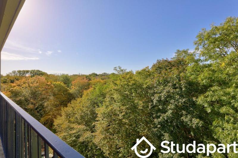 Chambre - 11 m² - 1 pièce